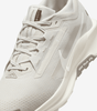 Nike Pegasus Trail 5 GORE-TEX
