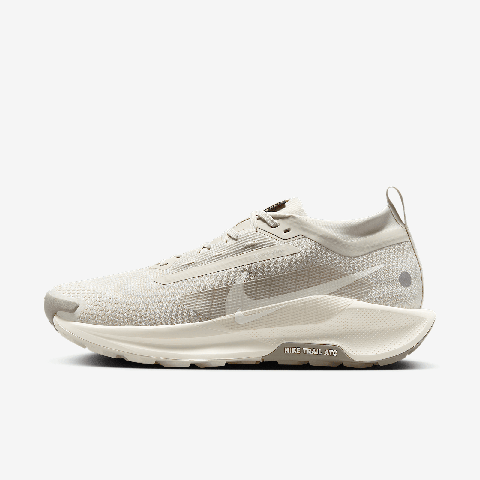 Nike Pegasus Trail 5 GORE-TEX