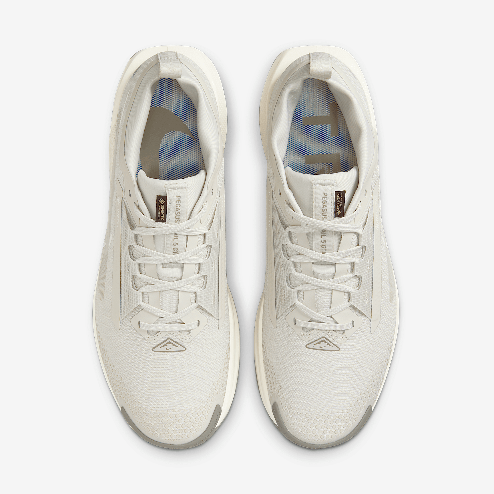 Nike Pegasus Trail 5 GORE-TEX