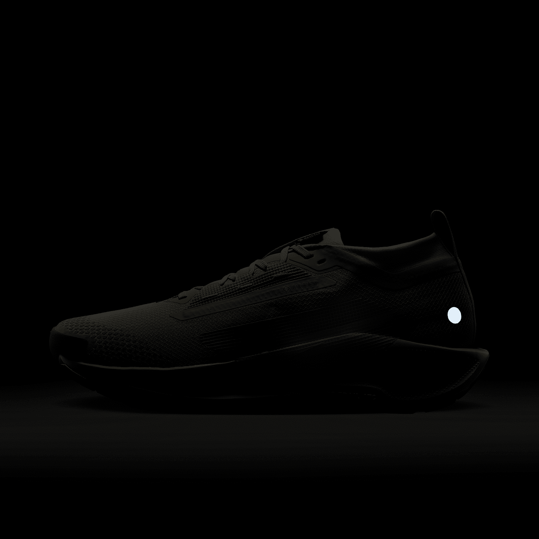 Nike Pegasus Trail 5 GORE-TEX