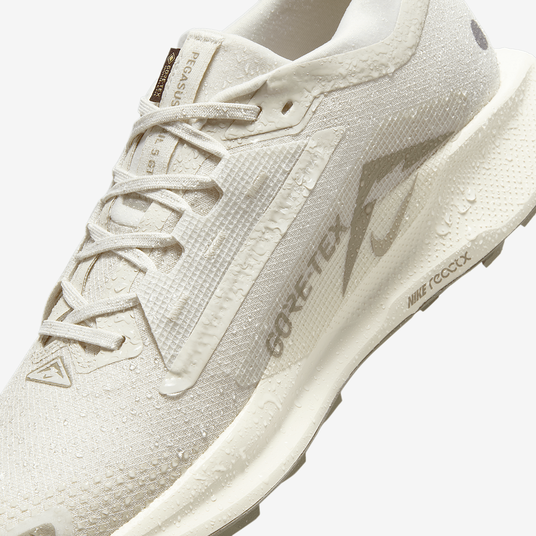 Nike Pegasus Trail 5 GORE-TEX