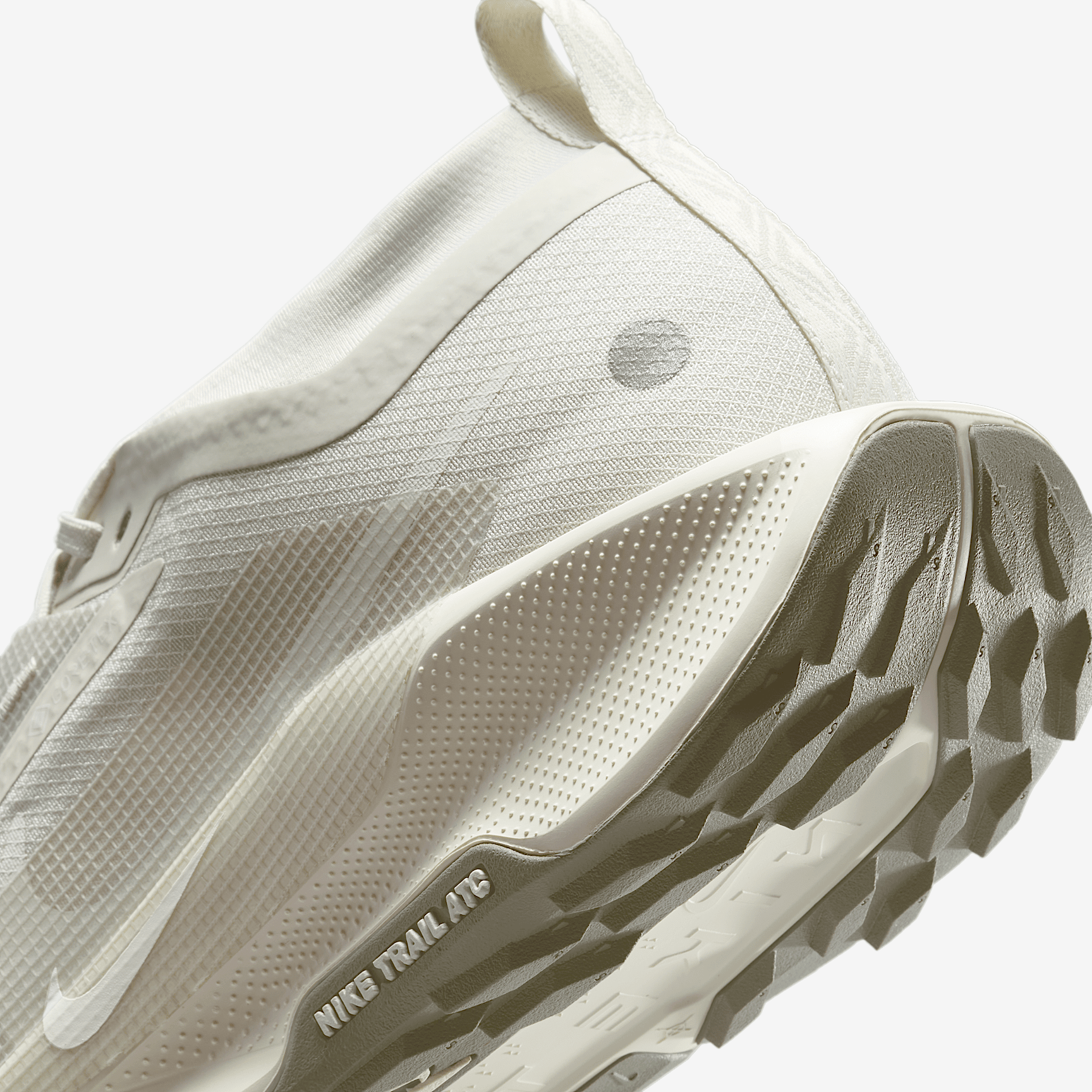 Nike Pegasus Trail 5 GORE-TEX
