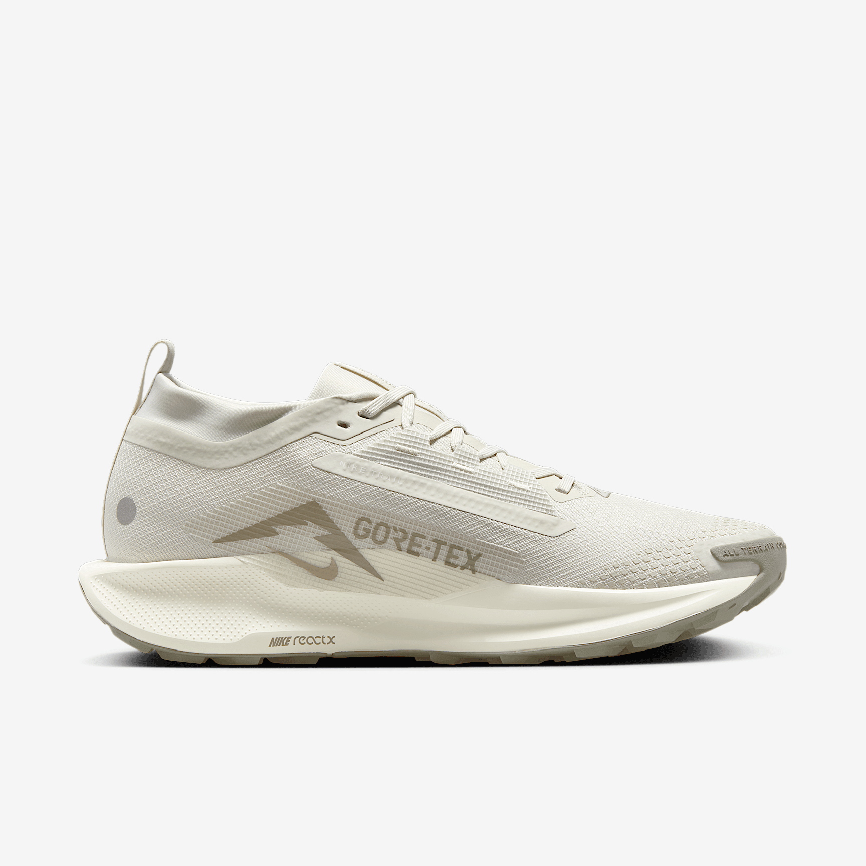 Nike Pegasus Trail 5 GORE-TEX