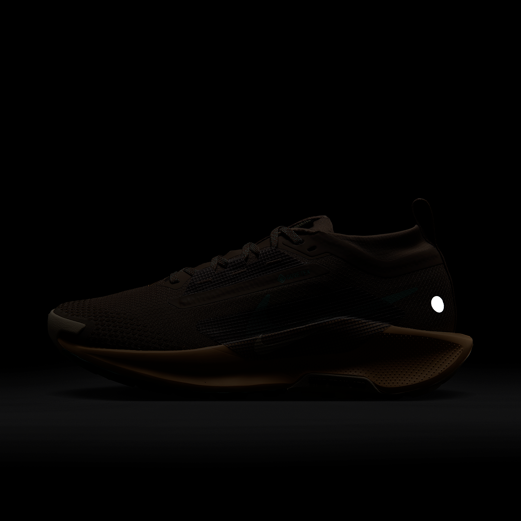 Nike Pegasus Trail 5 GORE-TEX