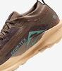 Nike Pegasus Trail 5 GORE-TEX