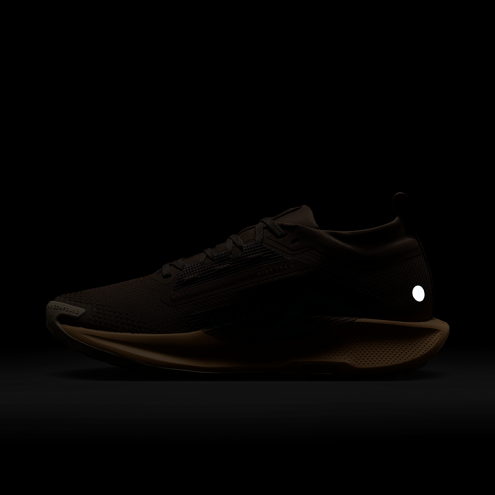 Nike Pegasus Trail 5 GORE-TEX