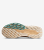 Nike Pegasus Trail 5 GORE-TEX